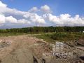 Вид на Южно-Приморский парк от ЖК «Линкор». Фото от 18.09.2013 года.