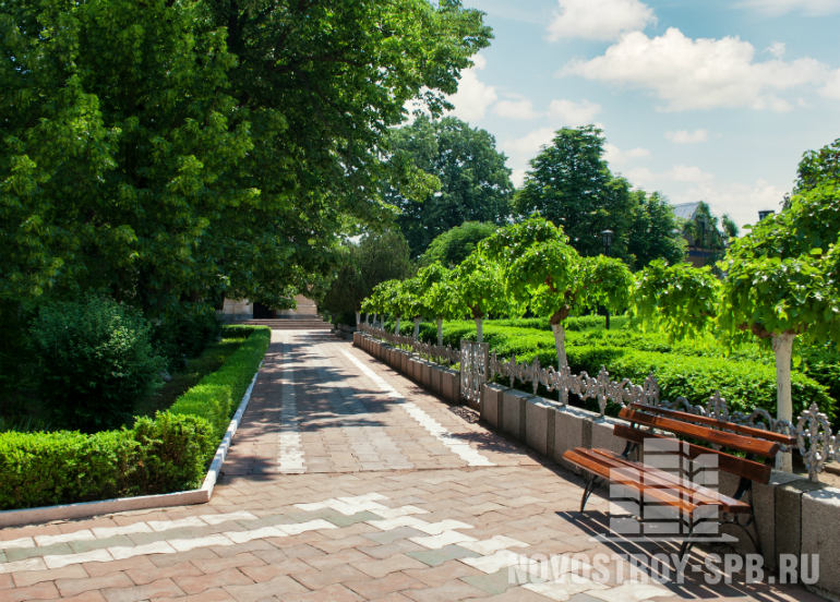Приморский - один из самых крупных и самых зеленых районов города Парки и скверы в Петербурге