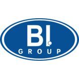 BI Group (Би Ай Груп)