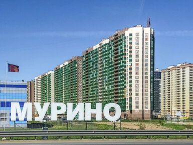 Цены на самые доступные новостройки в Петербурге и пригородах почти сравнялись