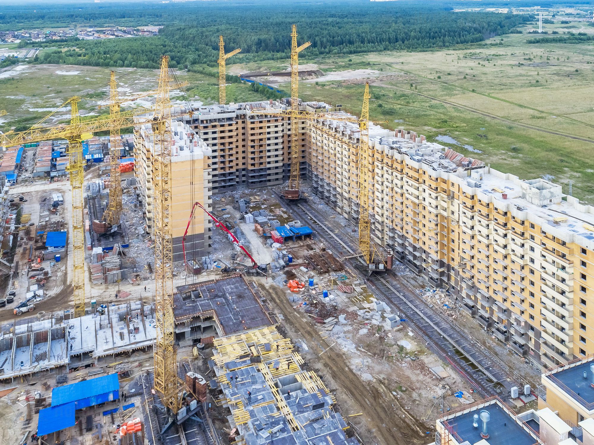 Мир газели в янино