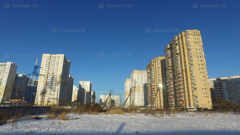 Шушары санкт-петербург. Санкт-петербург пос шушары ул вишерская шушары. Поселок шушары ленинградская область. Центральная усадьба шушары. Мкр шушары.