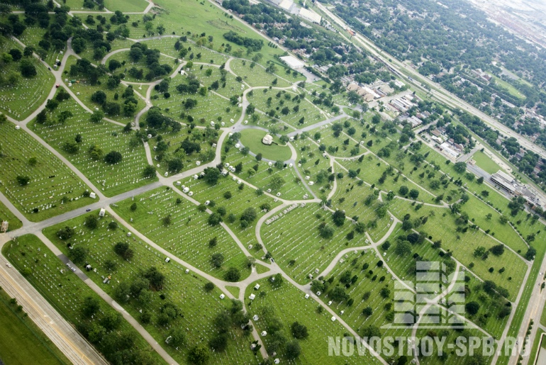 КОТ в Петербурге