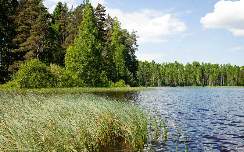 Тохколодское озеро летом