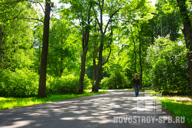 Девушка гуляет в парке