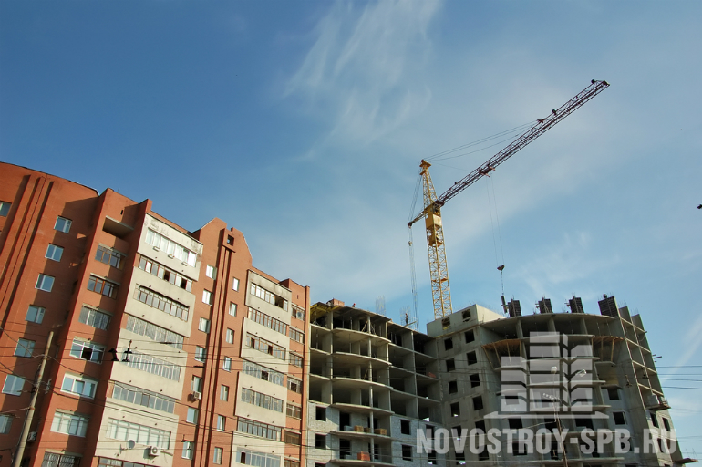 Новостройки Петербурга