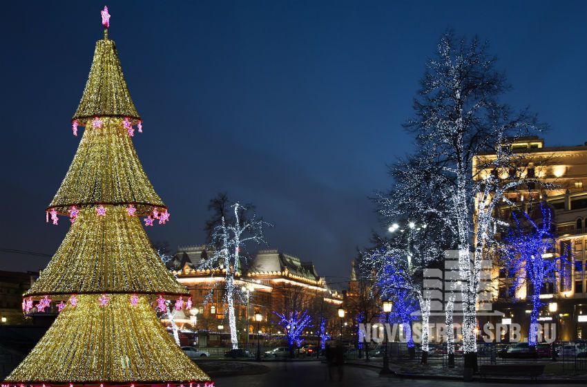 Елка в городе